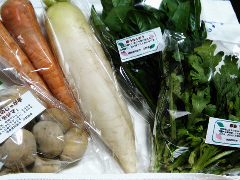 旬のお野菜詰め合わせBOX Sサイズ/基本の5品目