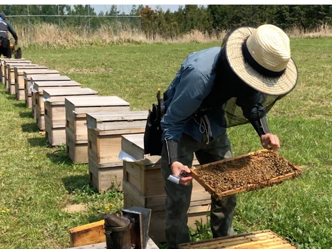 【お歳暮に！】食べ比べが楽しい！天然蜂蜜2種　200g×2本入り