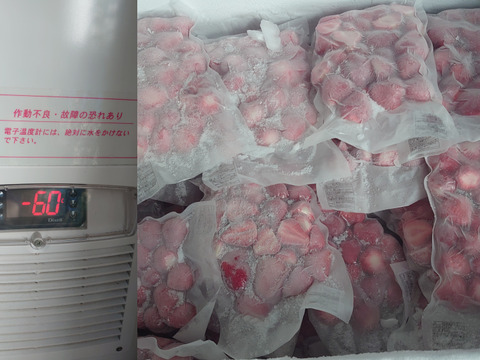 【完熟あまおう】冷凍イチゴ　500g×2パック