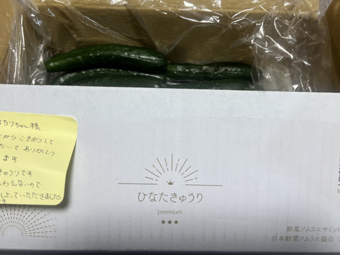 太陽のごちそう！パリッとひなたきゅうり お買い得5kg（箱重量込)