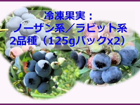 完熟のまま手摘み選別した冷凍ブルーベリー：2品種（125gの2パック）：ひと粒に、自然の贅沢をそのまま閉じ込めて。凍ったままが美味しい！