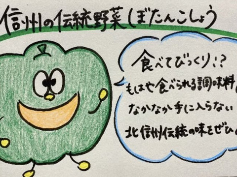 10/31締切‼︎甘くて辛い！長野・信州の伝統野菜ぼたんこしょう（１ｋｇ  約１５〜２０個）