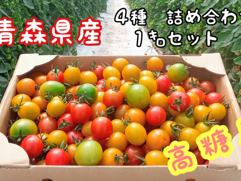 太陽の恵みをたっぷり浴びた　カラフルミニトマト　１kg　４種　詰め合わせセット