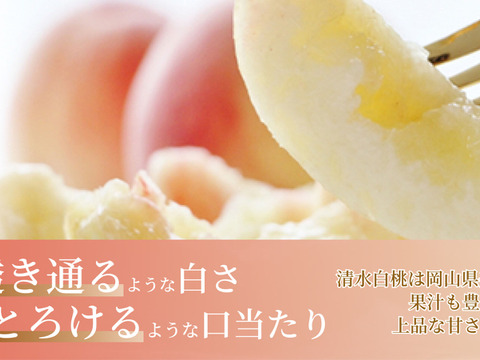 とろける口当たり！岡山県産『清水白桃』家庭用1.5kg 5~7玉