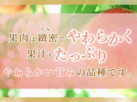 果汁たっぷり！岡山県産『白鳳』家庭用 1.5kg 5~7玉