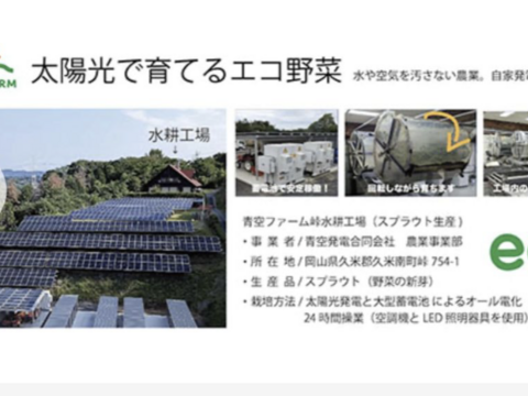 ブロッコリースプラウトパウダー　アルミパウチパック袋入り（10g）