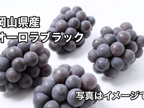 岡山県産【クール便】【食べ比べセット】ニューピオーネ&オーロラブラック2kg
