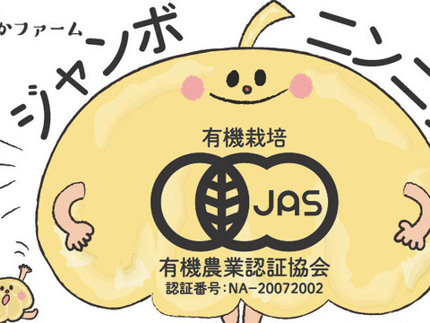 ジャンボニンニク15キロ(農薬,化学肥料不使用) ジャンボニンニク15キロ(農薬,化学肥料不使用)