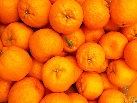 【ぽんかん100％瓶ジュース】おいしい太郎くん　ポンカン完熟生絞りジュース720㎖