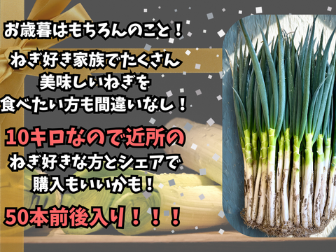 深谷蜜ねぎ（10kg）｜農家直送・新戒産・冬限定の贅沢ねぎ：埼玉県産の