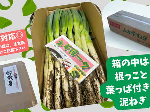 【眉なしサンジ様用】【20kg】深谷ねぎ 根付き　太め細めミックス 深谷蜜ねぎ（5kg）｜農家直送・新戒産・たっぷり楽しむしっかり量