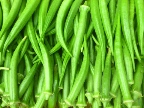 カラフルパワー！白ナス　黒/緑シシトウ　オクラ　ミニトマト～農薬/化学肥料・不使用