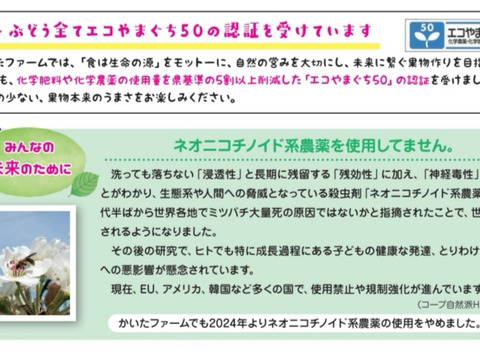 【特別栽培】⑪二十世紀梨2.5kg、旬のぶどう3種2kgのセット　ネオニコフリー