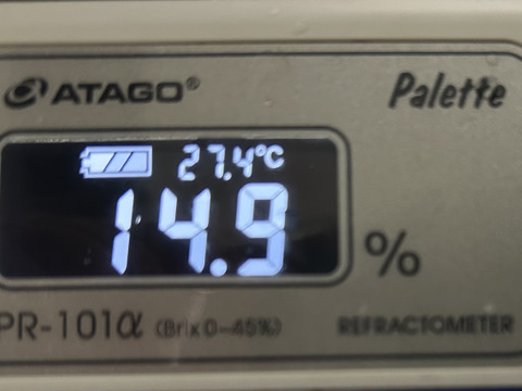 紅①　幻のブドウ【紅伊豆】　1kg前後〜1.5kg位
化粧箱入　(6〜8房位)