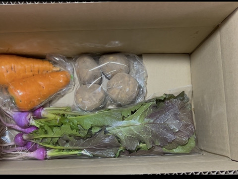 【自然栽培】4品目お試し旬のお野菜セット