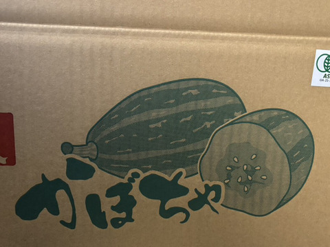 【サラダカボチャ】訳あり　有機かぼちゃ　万次郎生まるごと　４個入（約8.4kg）