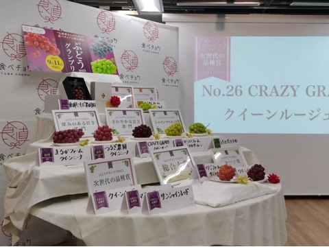 【金賞受賞】上品な甘さと芳醇な香り！クイーンルージュ 4房（1房500〜600g前後） ※ただいま「土づくり1年目」 特別価格にてご提供