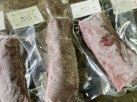 【鉄分豊富！】京都美山鹿　ミニロース 【1ブロック 200g】