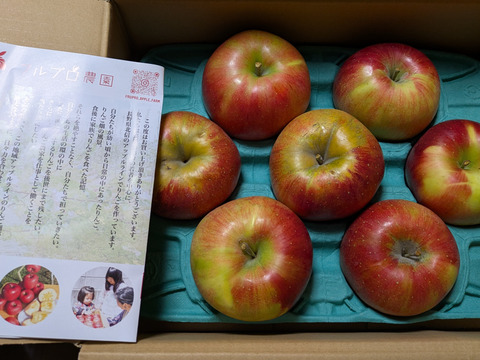 【家庭用】シナノスイート 約2.5kg 6-14玉 やさしい甘さでジューシー！ 順次発送中 訳あり#NAS0B025