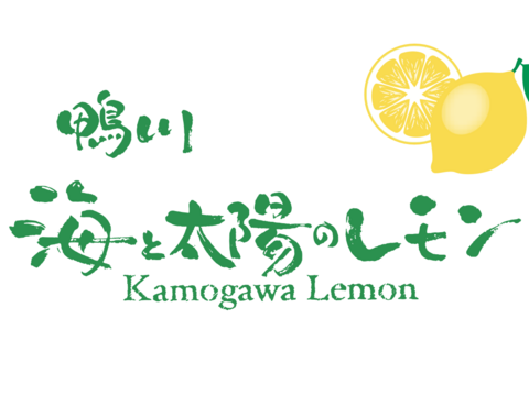 そばかすたっぷりB級品10kgだけど「ちばエコ農産物」認証鴨川レモン果汁用【食べて実感！まろやかな酸味】農薬最小限