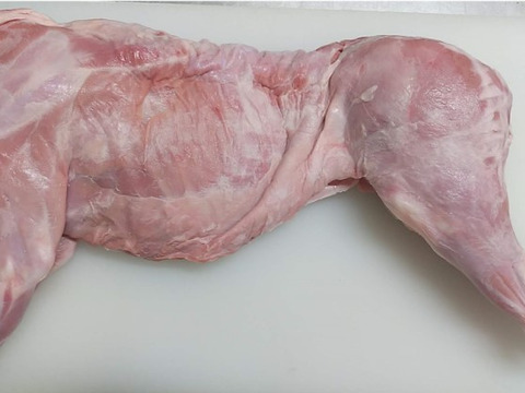 ウリ坊【丸焼き用】2400g