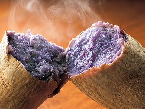 紫いも　有機肥料のみの栽培 11年 千葉県香取市産　紫芋10kg箱 訳あり　土付き