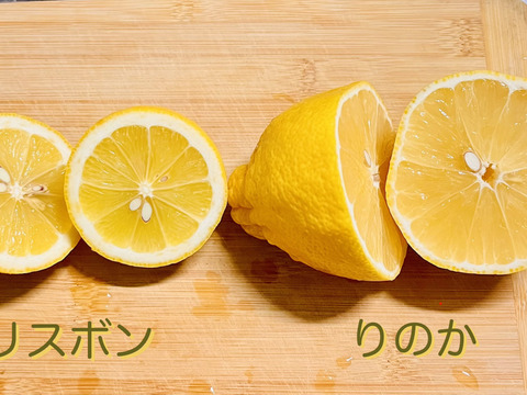 [自然栽培]レモン2種食べ比べセット(1kgずつ2kg)りのか、リスボン 農薬不使用
