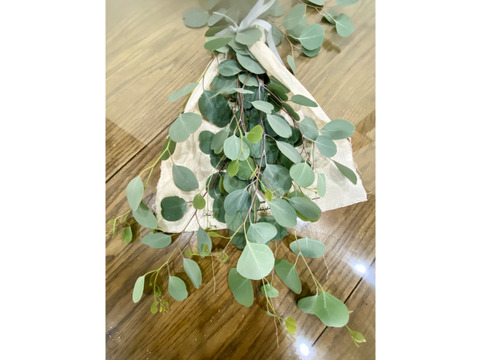 ポポラスのスワッグ(ケープ付き）「丸い葉が可愛らしいユーカリ・ポポラスのスワッグ。爽やかな香りと、落ち着いたグリーンでお部屋に癒しをプラスしてくれます