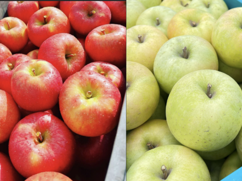 ミックス　🏆2025年りんごGP金賞受賞🎊葉取らず高徳&王林　家庭用2kg【5〜10個入り】