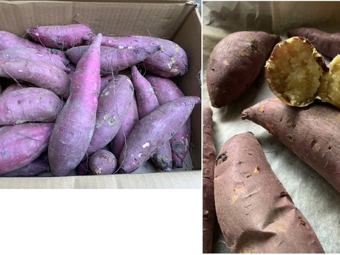 ネットリ甘ーい紅はるかを愛情価格でお届け！(５kg）