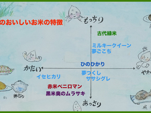 【令和７年度新米】玄米「夢つくし」(５kg) 農薬・除草剤不使用の特別栽培米（福岡エコ農産物認証）