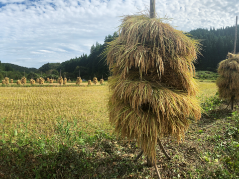 ☆白米☆農薬化学肥料不使用・天日干し乾燥のお米  10kg【光 ~HIKARI~】