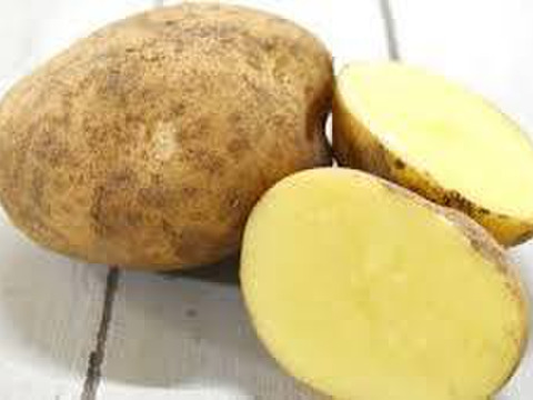 【じゃがいも】男爵(4kg)