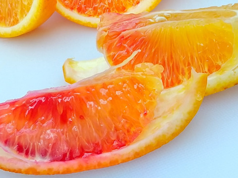 【柑橘食べ比べ】クレメンテイン・ブラッドオレンジ・ぽんかん・レモン詰め合わせ　家庭用5.0箱㎏