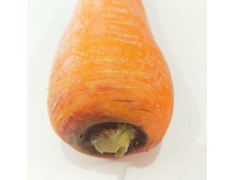 雪下越冬にんじん　べにもり五寸 1.5kg｜青森県十和田市産