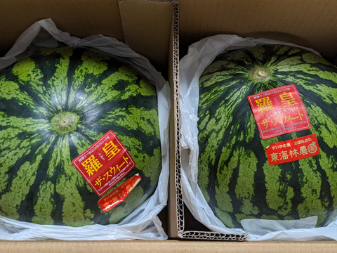 夏ギフト】2025年7月末から発送 予約品 ☆大人気商品☆【尾花沢