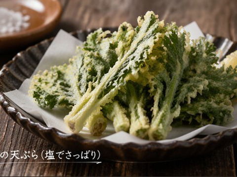✨春の香りを食卓に。天ぷらやお浸しで主役になる、力強い春菊　約400g✨