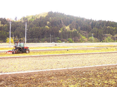 新潟県産のお米・【新之助】と岐阜県生まれのお米で【縁結び】の合計5袋で4.3㎏です