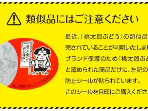 訳ありご自宅用】桃太郎ぶどう クール冷蔵便：岡山県産の果物