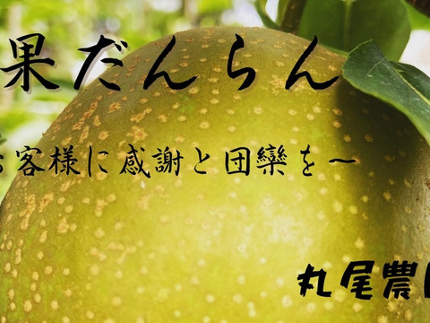 爽やかな甘味と上品な味わい 梨の貴公子　【秋月梨】
