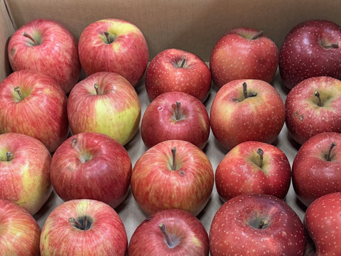 【在庫限り】千雪・まさゆめハーフセット訳ありバラ詰め　約4.5Kg　青森県産