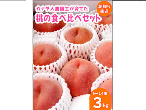 【カナダ人農園主の真心を込めた】”朝採り新鮮”ももの食べ比べセット約３ｋｇ