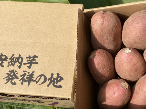 中園ファームの熟成安納芋（生芋）　Mサイズ　２キロ
