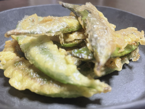 ≪予約商品≫☆有機JAS認証☆スナップえんどう１kg【5月発送予定】