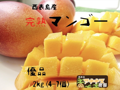沖縄西表島の太陽をたっぷり浴びたマンゴー！！優品２ｋｇ（４～７個）【ご家庭用にお手頃価格！】