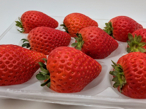 ジュワ～と果汁！贈答用！完熟とちあいか！やさしく苺を包むゆりカーゴ梱包！今話題の甘さが際立つ品種です！
約270g×2パック