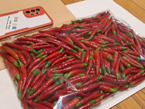 赤生、唐辛子(鷹の爪)🌶️