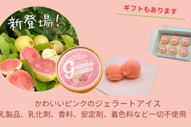 かわいいピンクのジェラートアイス「有機グアバ農園のなめらかジェラート」