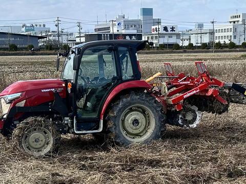 希少なブランド米    岐阜ハツシモ  
令和7年産  白米🍚