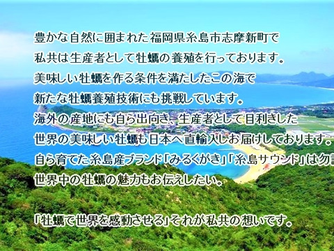 【 【初回限定ＢＯＸ】糸島サウンドLサイズ 岩牡蠣　3個　生食可